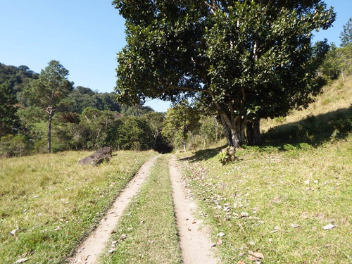 Imagem 8 de 16 de Sítio À Venda Com Pasto Lago Piscina 56.000 Ótima Localização
