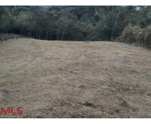 Lote Independiente En El Alto De Las Palmas(mls#238569)