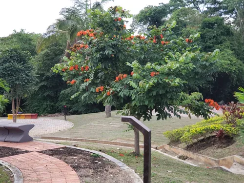 Venta De Lotes - Conjunto San Jeronimo - Anapoima C/marca