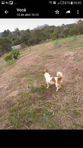Venda De Terreno Em Ribeirão Pires Na Quarta Divisão R.dr.jo