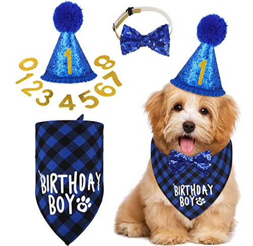 Fiesta De Cumpleaños Para Perros - Conjunto Elegante De