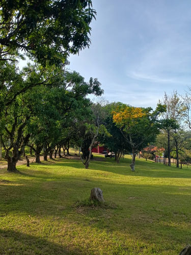Sítio 48.400m2 Em Localização Privilegiada | Completo