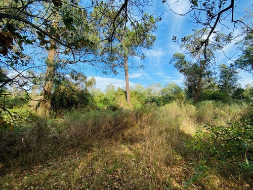 Imagen 7 de 8 de 5.363 M² Sobre Calle Principal A 100 M De La Laguna