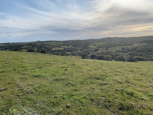 Venta De Chacras De 5 Has Se Ubicado En Garzon - Ref: 2962