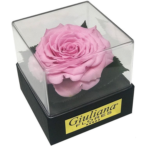 Caixa Acrílica Com Rosa Encantada Rosa Claro Giuliana Flores | Parcelamento  sem juros