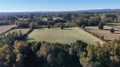 Campo En Venta Inversionista Pitrufquen (104143)