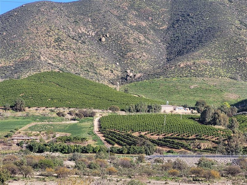 Imagen 4 de 15 de Agrícola En Venta En Monte Patria