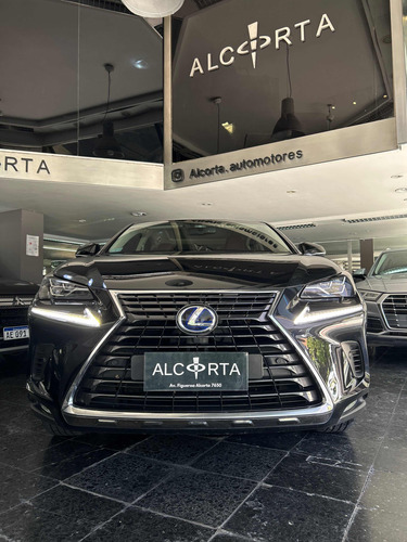 Lexus 300 Nx Hybrid 2019