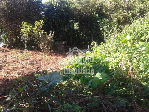 Chácara Com 2 Dormitórios À Venda, 4746 M² Por R$ 1.250.000 - Jardim Monte Carlo - Ribeirão Preto/sp - Ch0023