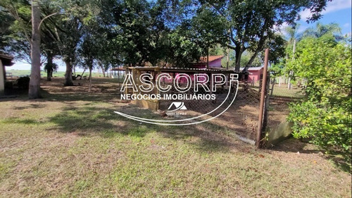 Imagem 7 de 19 de Sítio/pousada Em Anhembi - Piracicaba Sp(código St00003) - St00003 - 71022310