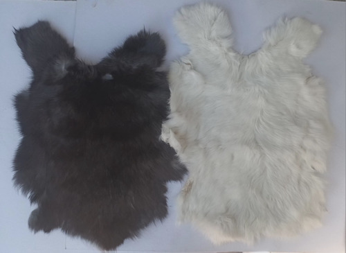 2 Pieles De Conejo #35 Envio Gratis