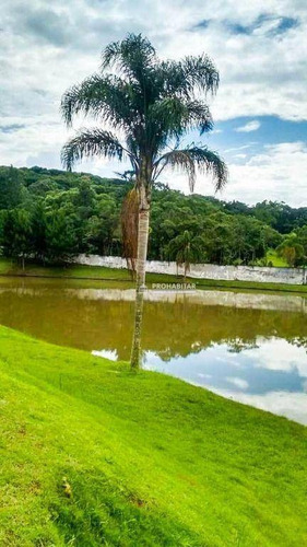 Imagem 13 de 17 de Chácara À Venda No Loteamento Estancia Belvedere - Juquitiba/sp - Ch0210