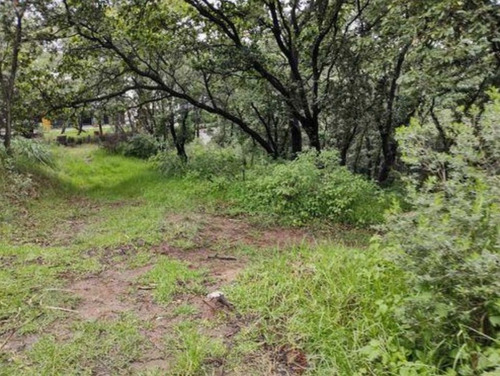 Terreno En Venta, Hacienda De Vallescondido Cod. Vte740