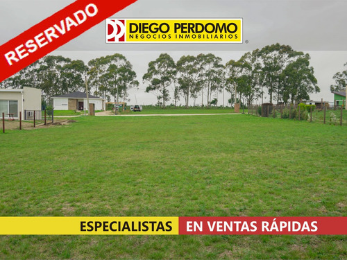 Terreno De 1393m² En Venta En Parque Del Lago