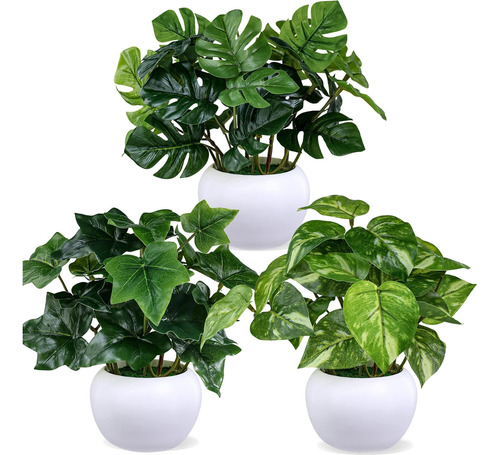 3 Piezas De Plantas Macetas Pequeñas Plantas Tropicale...