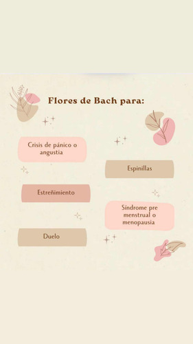 Terapia Floral Transpersonal