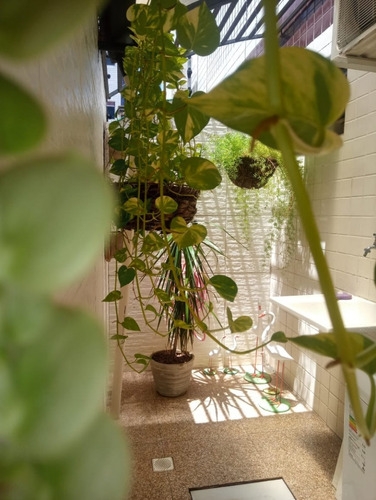 Imagem 5 de 13 de Apartamento Para Venda - 008825