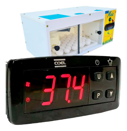 Termostato Digital Coel Y39 Uq Triac Chocadeira C/ Viragem