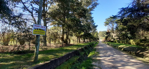 Fraccion De 8.1000 M² Parquizada Y Forestada