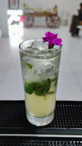 Open Bar Y Cócteles Para Eventos: Bartender, Barra E Insumos