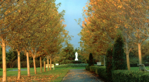 Imagen 2 de 5 de Parcela Parque Memorial.