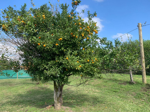 Terreno En Venta En Country La Herencia