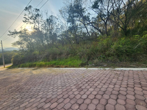 Venta Lote Gladiola 37 Con Vistas Panorámicas, Proyecto Incluído Y Todos Los Servicios Cerca De Las Amenidades De Fracc Rancho San Diego Ixtapan De La Sal Edomex