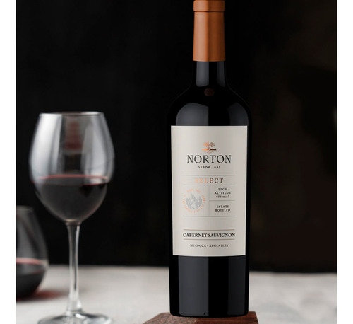 Vino Tinto Cabernet Sauvignon Select Norton Pack X6