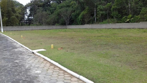 Imagem 7 de 13 de Terreno No Centro Com 0 Quartos Para Venda, 257 M² - Ft1177