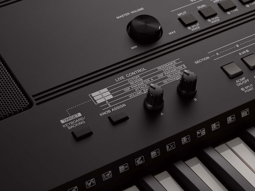 Teclado Yamaha Psrew410 Sensitivo 6 Octavas 76 Teclas Fuente