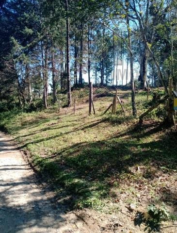 Imagem 14 de 15 de Cod 5997 - Sítio Com 20 Alqueires Em Miracatu-sp - 5997