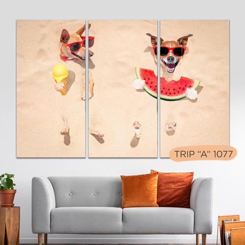 Imagen 6 de 10 de Cuadros Animales Triptico Fotos Modernos 100x90 Tela