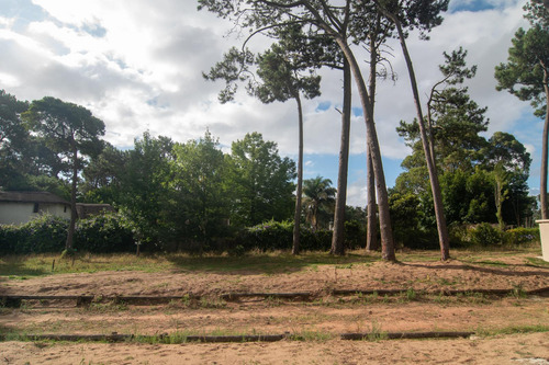 Venta Terreno, A Metros De La Playa, Pinares Punta Del Este