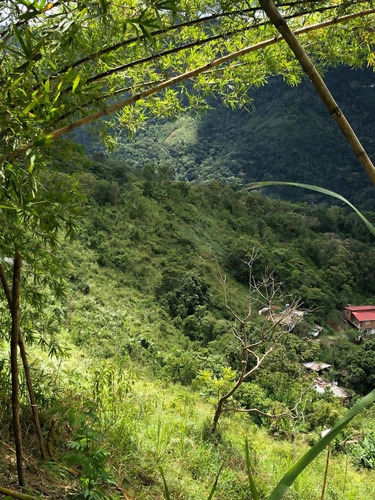 Venta De Lote De Terreno En Sabaneta Del Hatillo, Mcpio El Hatillo, Caracas. Mr