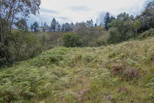 Casa Finca En Guarne 9.000 M2