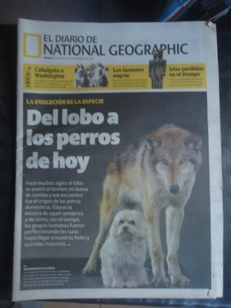 Diario National Geographic Nº 7 Del Lobo A Los Perros De Hoy
