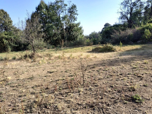 Imagen 3 de 7 de Terreno Colonia Zacapexco