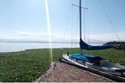 Imagen 8 de 30 de Terreno Con Vistas A La Presa En Venta, San Miguel De Allend