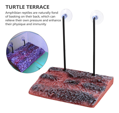 Plataforma Elevadora De Tortugas Al Aire Libre Con Recinto P