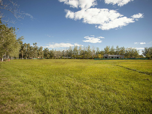 Imagen 3 de 11 de Terreno En Venta En El Tropezón
