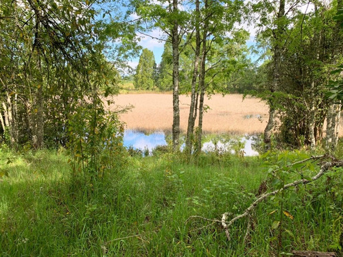 Imagen 4 de 11 de Parcela En Condominio El Arrayán, Con Laguna Y Vista Volcán