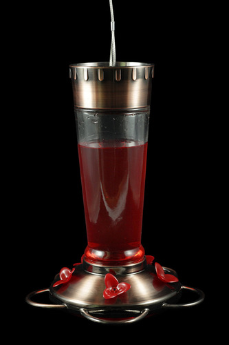 Chilipet Bebedero Alimentador Para Colibri P/nectar Comedero De 5 Puertos Y Con Botella De Cristal Capacidad De 384ml