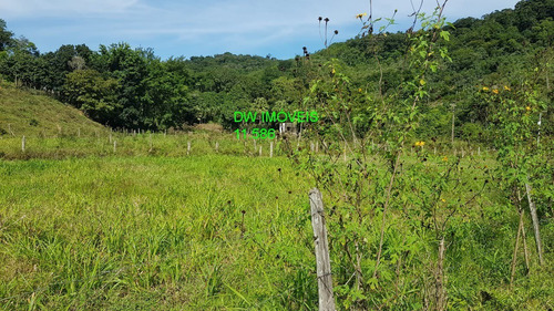 Imagem 15 de 30 de Juquiá/sitio Com Pupunha/ Pasto E 05 Lagos Para Pesqueiro - 04857 - 34121206