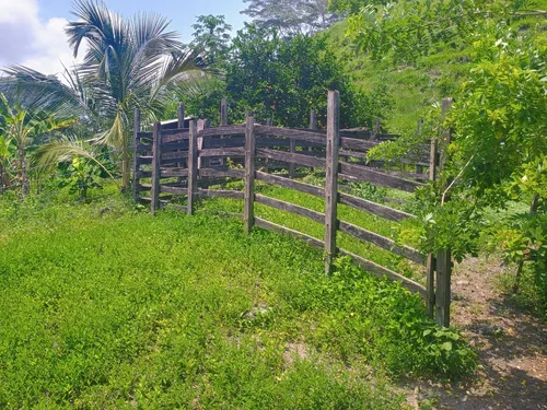 Finca Multipropósito En Minasal Yacopi Cundinamarca