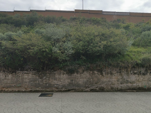 Imagen 6 de 11 de Terreno En Venta En Bellavista