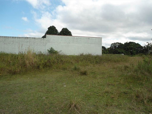 Imagem 5 de 7 de Terreno - Venda - Gaivotas - Itanhaem - Ita2452