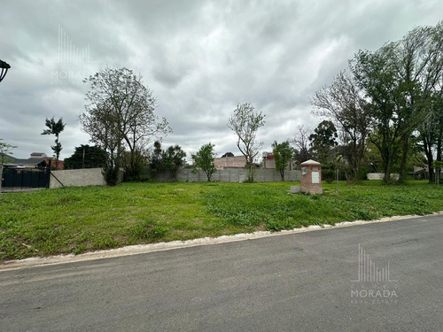 Venta Lote Financiación Avenida Olivos Y Panamericana Excelente Ubicación !!!