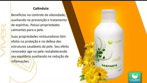 Sabonete Liquido Corporal Viver Company Especial 01un.