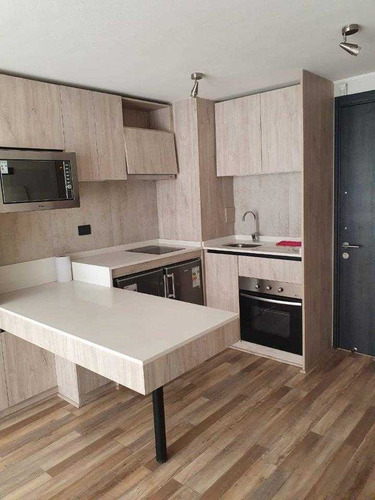 Arriendo Depto Nuevo 1 Dormitorio A Pasos De Estacion To...