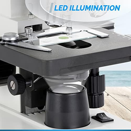 Omax 40x-2000x Led Binocular Compound Lab Microscopio Etapa